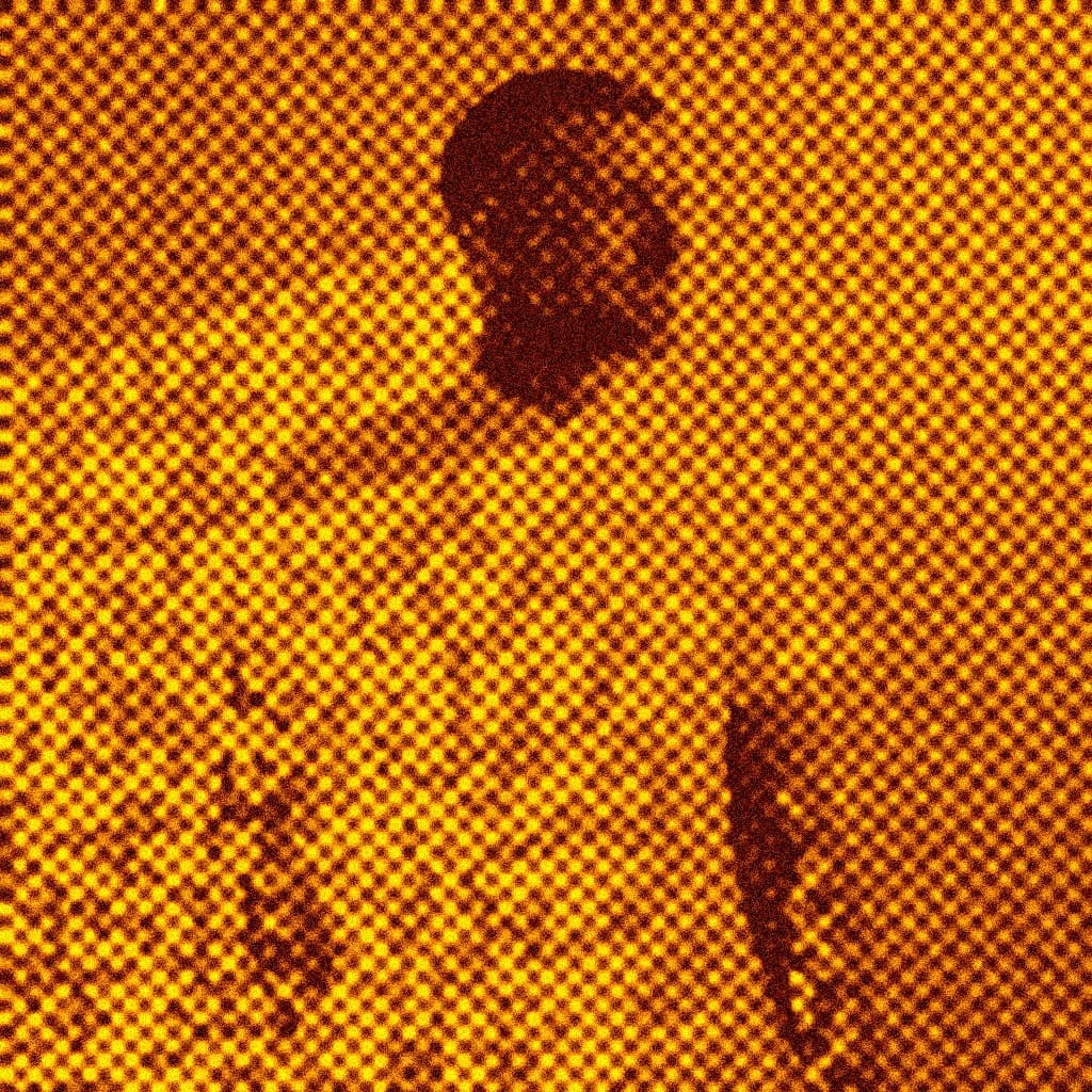 Wally Gunn